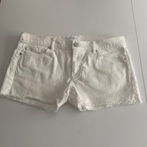 White denim shorts LOFT